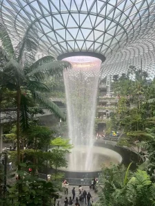 Jewel Changi Airport indoor forest showcasing biophilic architecture