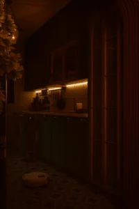 The House of Light & Balance 04